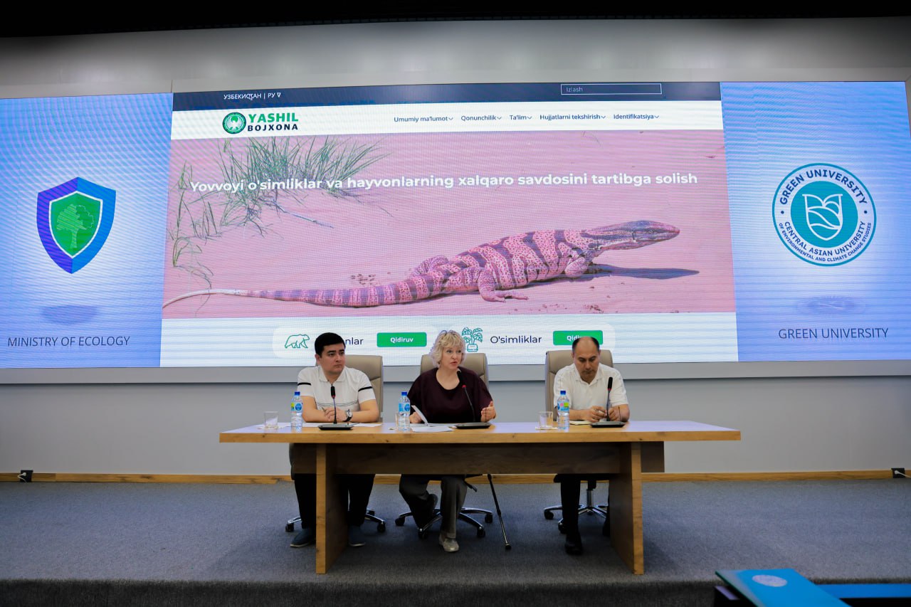 yashiltamojnya.uz – bojxonaga yordam berish uchun yangi resurs