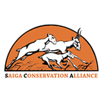 Альянс по сохранению сайгака