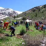 Навруз 2021: как отмечаем и встречаем.