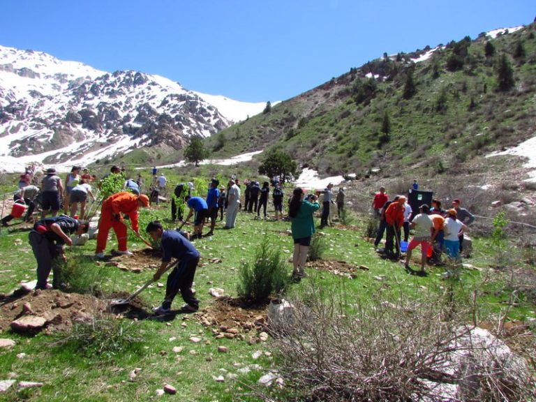 Навруз 2021: как отмечаем и встречаем.