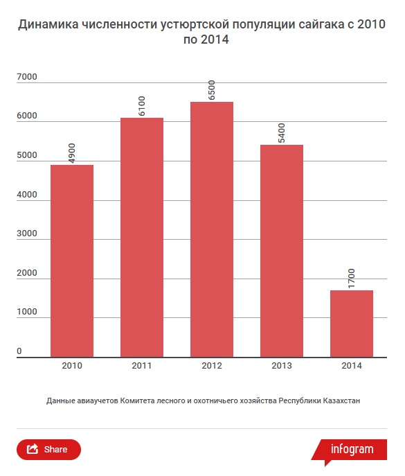 SAIGAS jonlanishi yoki jonlanishi bilan sayg’oqlar.