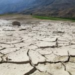 В Узбекистане учатся противостоять засухам.