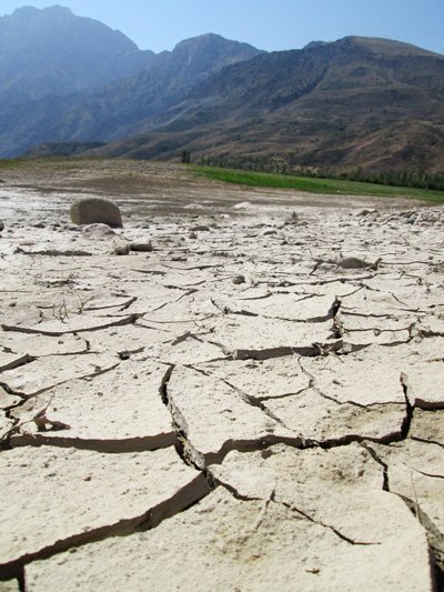 В Узбекистане учатся противостоять засухам.