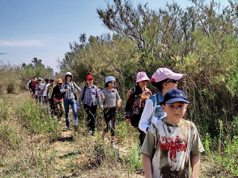 Original RU gallery image