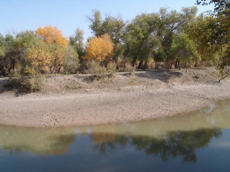 Original RU gallery image