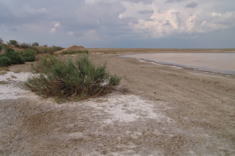 Original RU gallery image