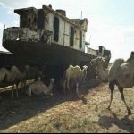 Узбекистан – новый участник парижского климатического соглашения.