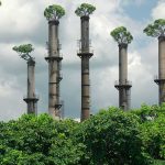 День нулевой эмиссии