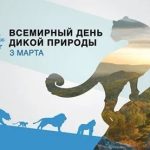 Всемирный день дикой природы.