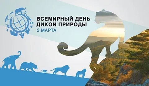 Всемирный день дикой природы.