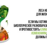 Леса и биоразнообразие.