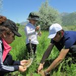 ЛЕСА – самое мощное оружие против глобального потепления.