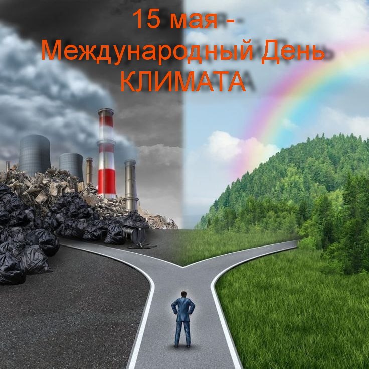 15 мая – Международный день климата.