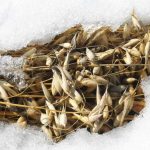 Климат меняется и что в этом плохого?