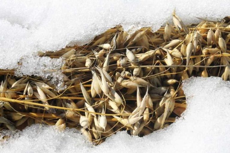 Климат меняется и что в этом плохого?