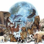 Биоразнообразие и изменение климата.