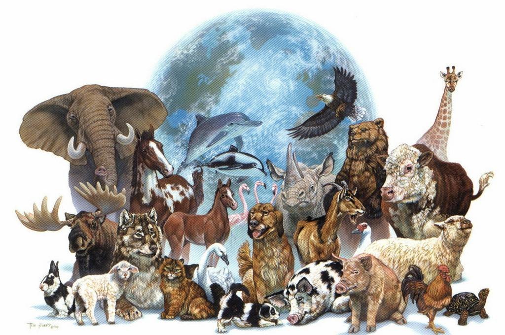 Биоразнообразие и изменение климата.