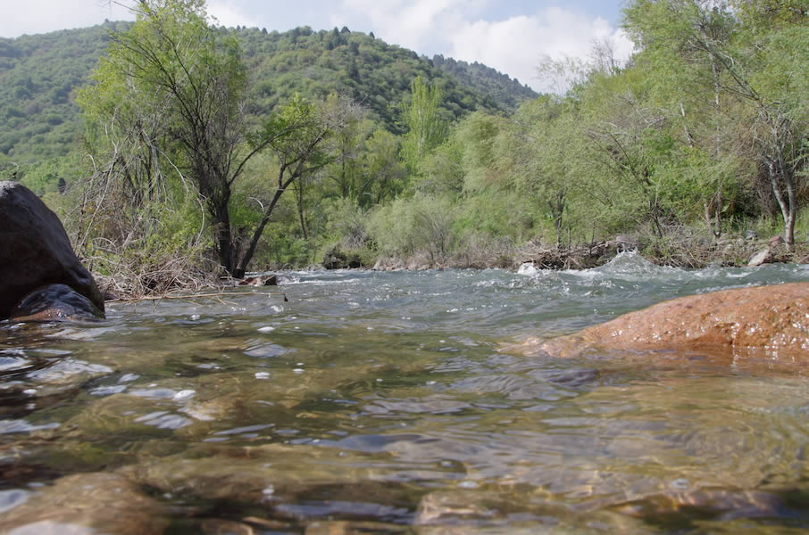 Original RU gallery image