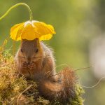 Экология души и тела.