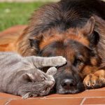 Про добро и зло…