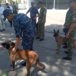 Кинологи, таможня и экологи объединяются в усилиях по защите дикой природы.