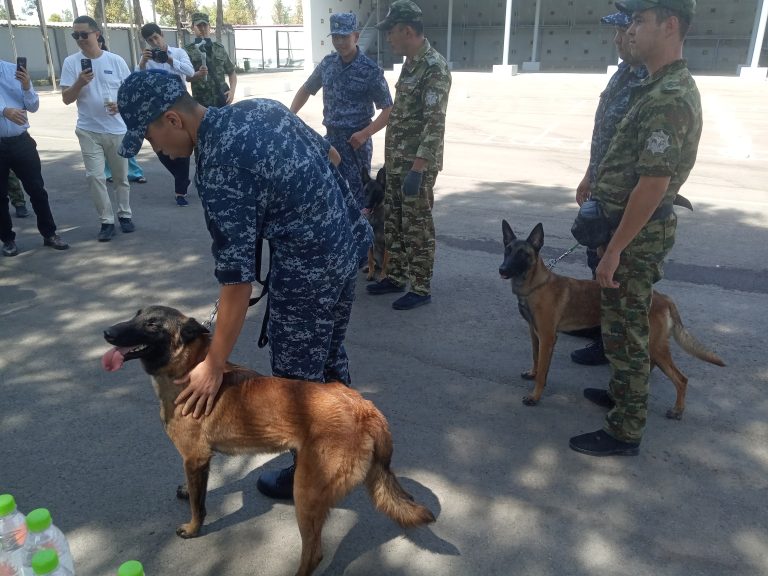 Кинологи, таможня и экологи объединяются в усилиях по защите дикой природы.