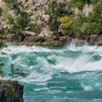 Важный месседж на Всемирный день водных ресурсов 2020.