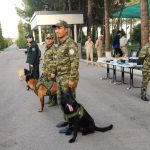 Совместная работа с кинологами против незаконной торговли объектами флоры и фауны. 