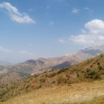 Внимание, конкурс: «прекрасные творения природы».