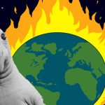 Куда катится планета?