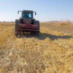 Последствия изменения климата: эрозия почв и как с ней бороться.