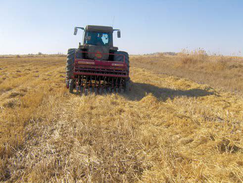 Последствия изменения климата: эрозия почв и как с ней бороться.