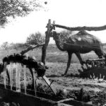 Экологичность предков: есть чему поучиться.