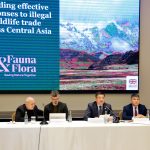  Как противостоять преступлениям против дикой природы.