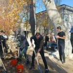 Посади свой лес