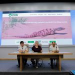 yashiltamojnya.uz – новый ресурс в помощь Таможне.