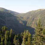 Международная акция «FSC-Пятница» в Узбекистане.