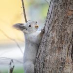 Параллельный мир.