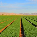 Повышение продуктивности воды в сельском хозяйстве – задача каждого фермера.