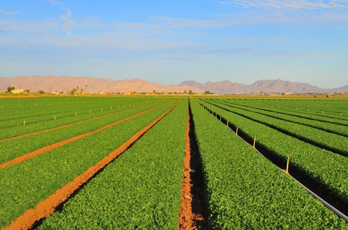 Повышение продуктивности воды в сельском хозяйстве – задача каждого фермера.