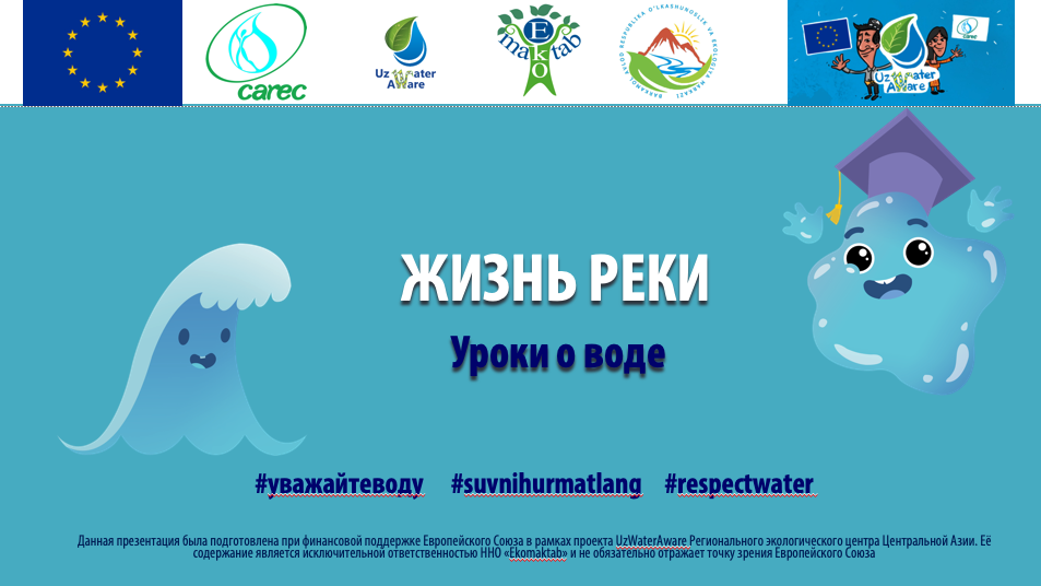 Презентация 5