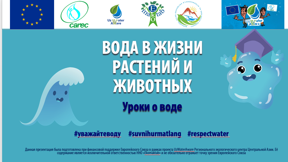 Презентация 6